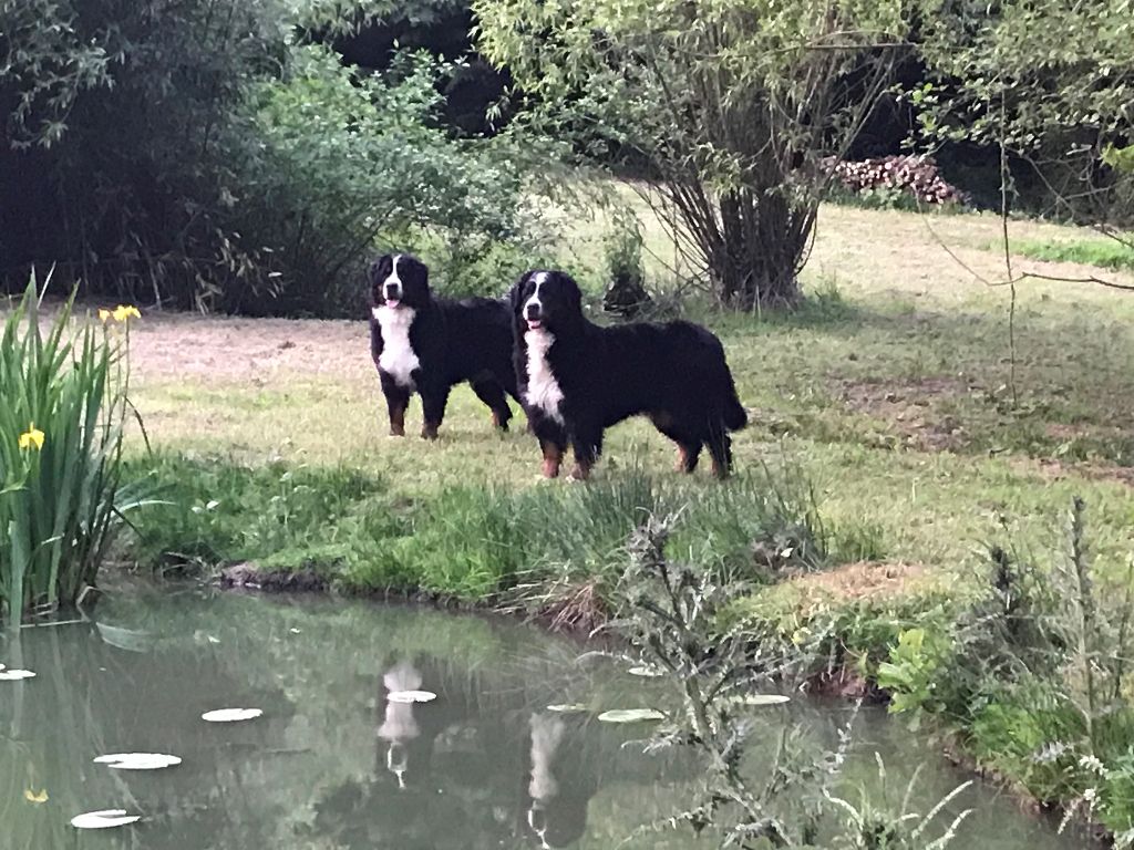 De La Ferme D'uzes - 7 ans pour les petits I