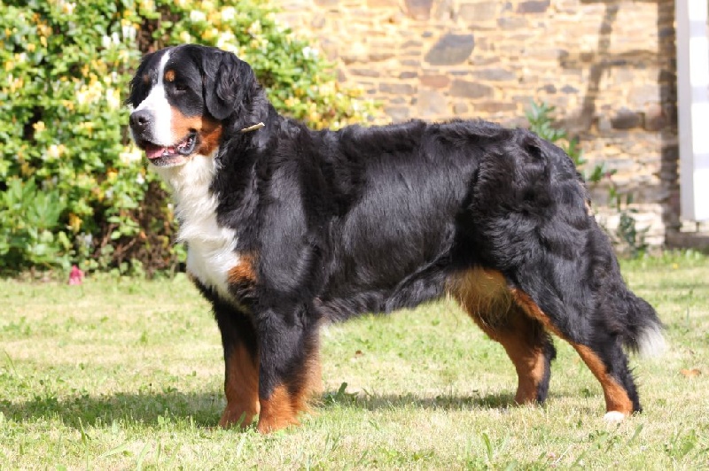 Glinka Dos Moinhos D'Alvura